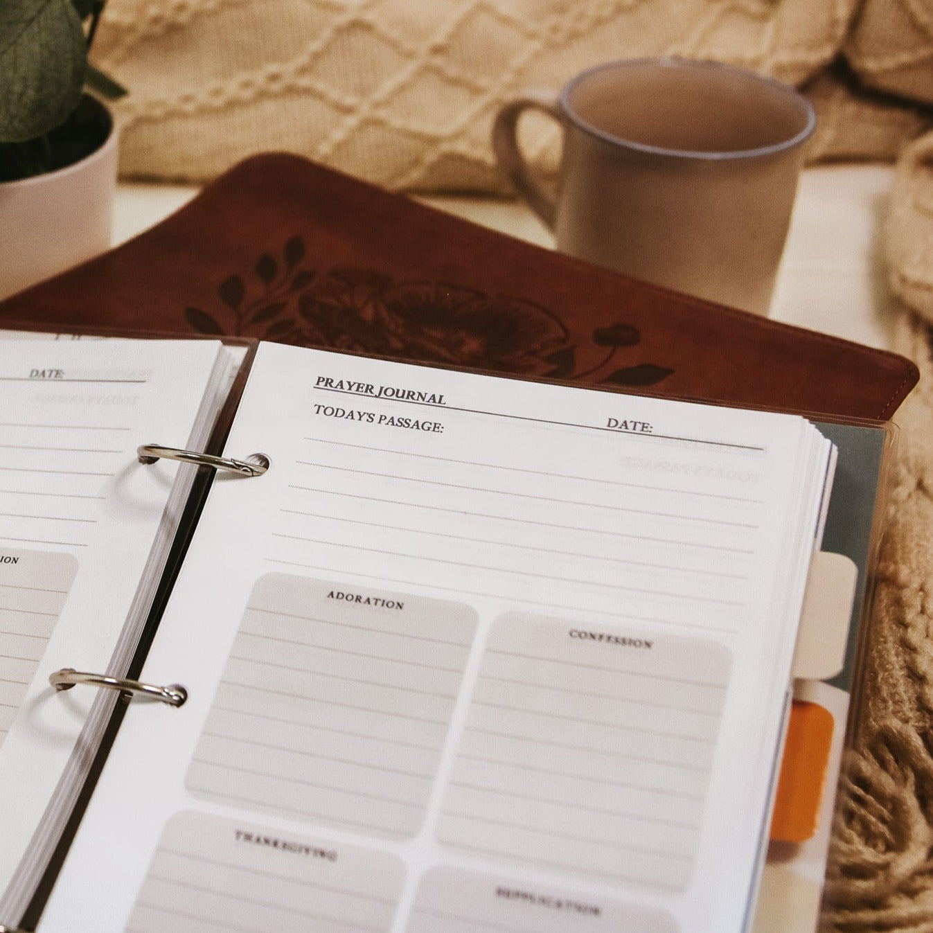 Spiritual Growth Bundle