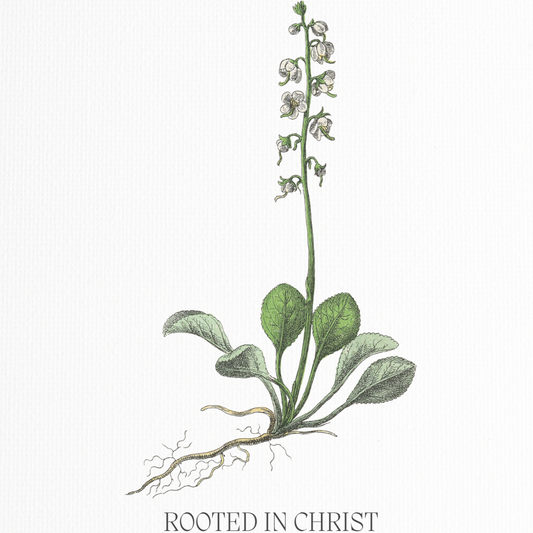 Rooted in Christ Wall Art