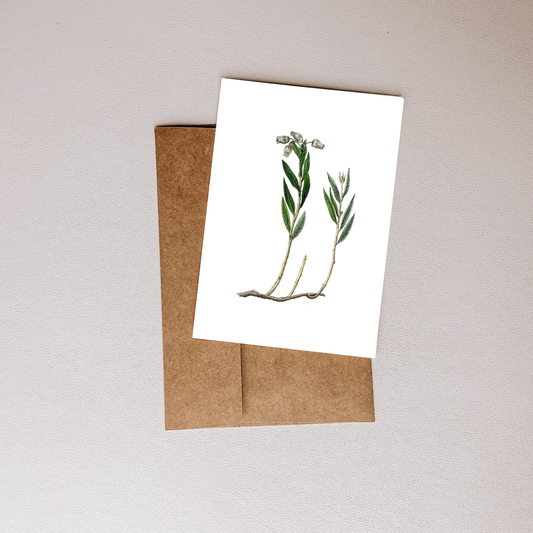 Botanical Greeting Card