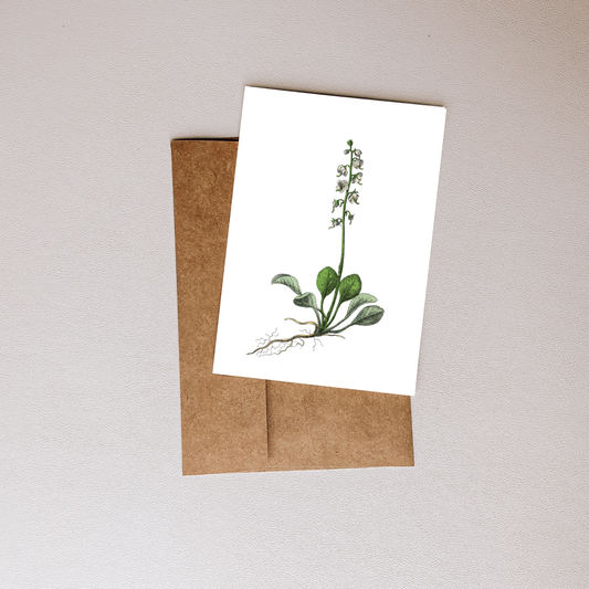 Rooted Botanical Greeting Card